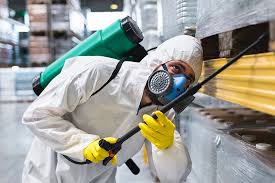 Best Fumigation Services  in Denmark, SC